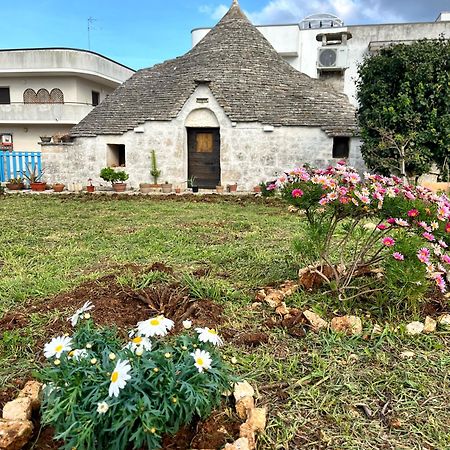 Trullo Liliana Villa อัลเบโรเบลโล ภายนอก รูปภาพ