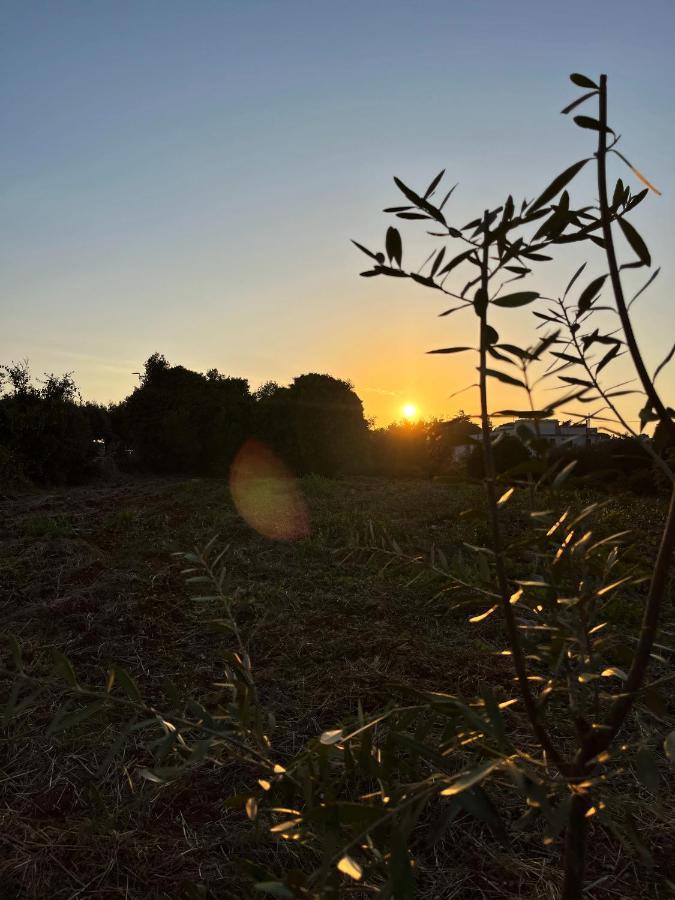 Trullo Liliana Villa อัลเบโรเบลโล ภายนอก รูปภาพ